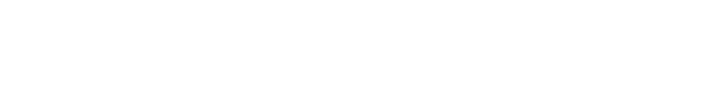CAST VOICE
